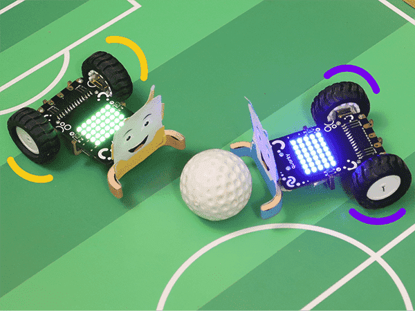Coding, AI & Robotics Course