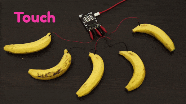 Quarky Touch Projects
